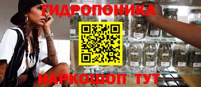 индика Ипатово