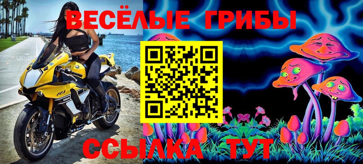 Галлюциногенные грибы Cubensis  Вход с VPN  Дмитров  Галлюциногенные грибы Magic Shrooms 