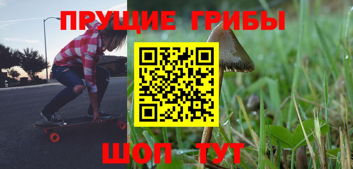 Галлюциногенные грибы Psilocybe Дмитров